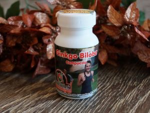 Gingko Biloba