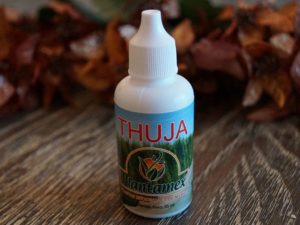 Thuja