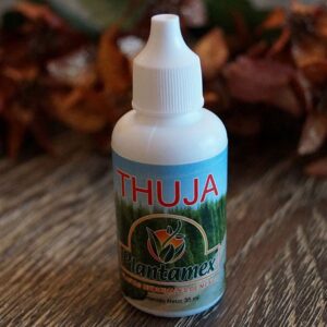 Thuja
