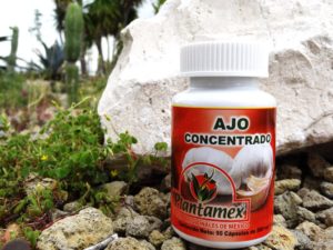 Ajo Concentrado