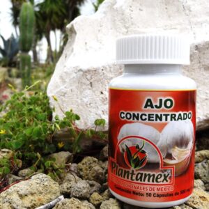 Ajo Concentrado