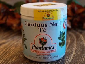 Carduus No 1 Te