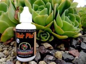 Elixir Plus