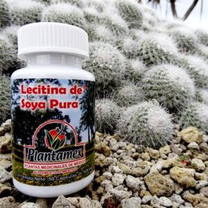 Lecitina de Soya Pura