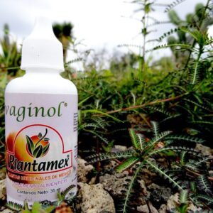 Ovaginol