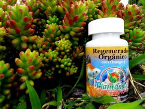 Regenerador Organico