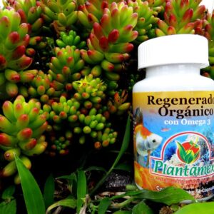 Regenerador Organico
