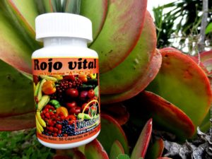 Rojo Vital