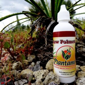 Saw Palmetto