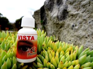 Vista