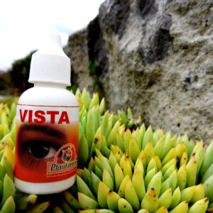 Vista