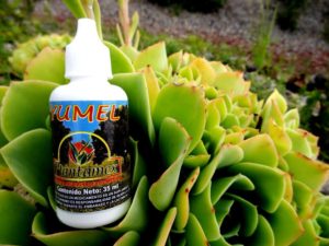 Yumel