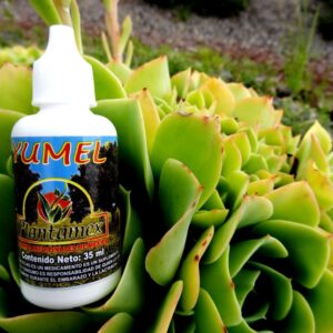 Yumel